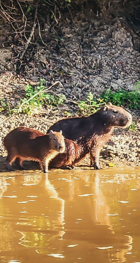 Parque Nacional Madidi